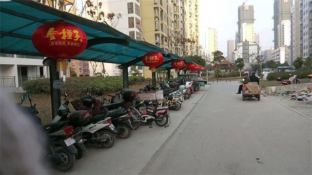 過年了 掛小區(qū)內(nèi)燈籠