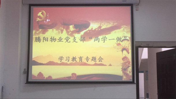 騰陽物業(yè)開展“兩學一做”學習教育專題會(圖2)